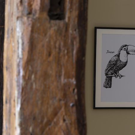 Le Toucan By Cocoonr Rennes Buitenkant foto