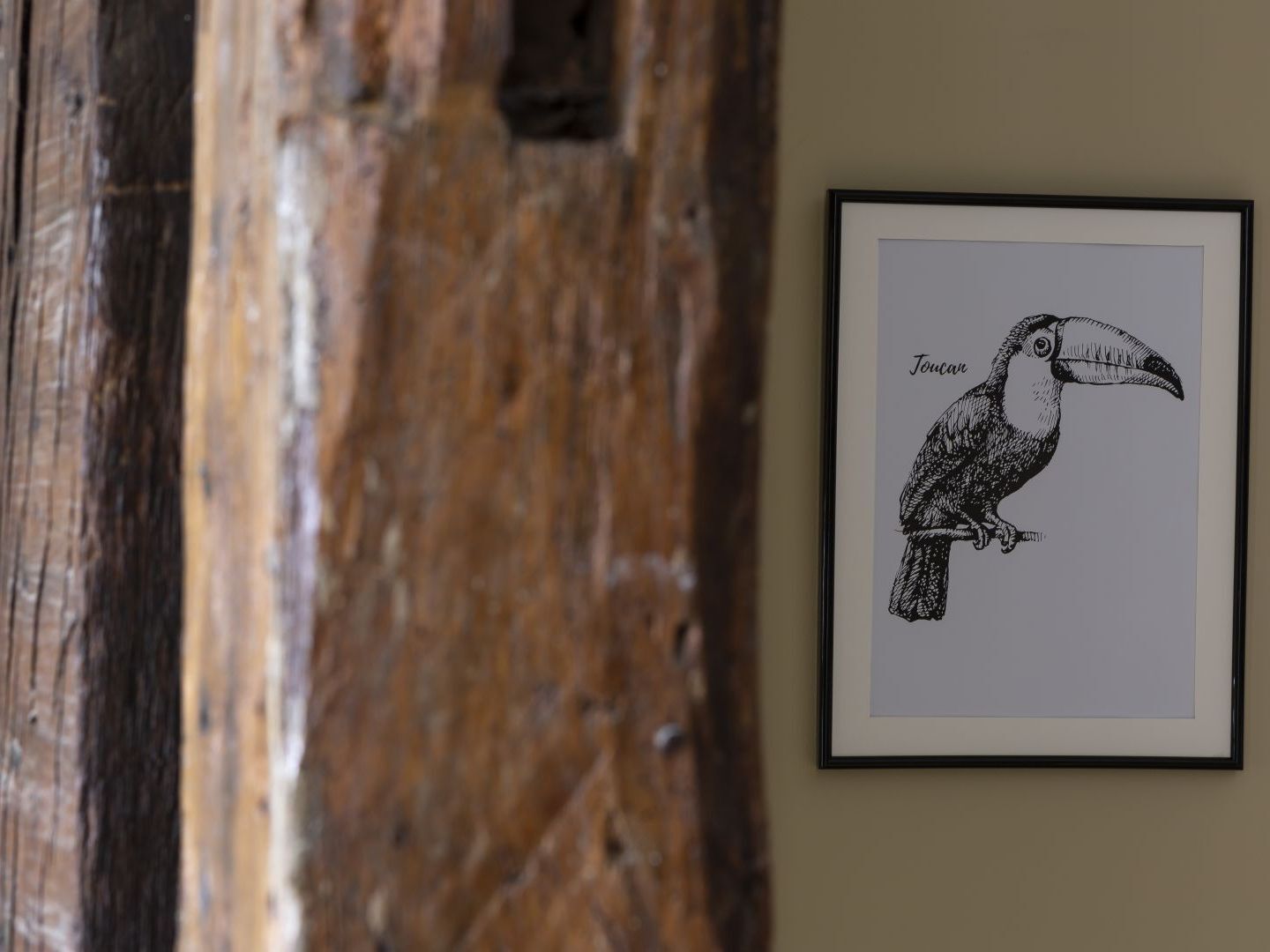 Le Toucan By Cocoonr Rennes Buitenkant foto